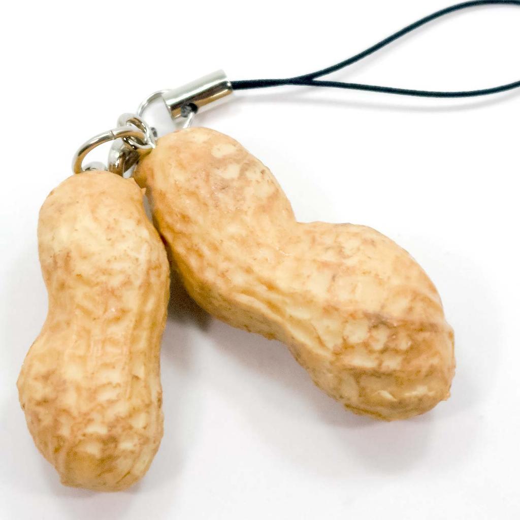 Food Sample Strap Eatable Peanuts 020TS -