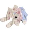 Ladies Spring and Summer Thin New Cartoon Mesh Pure To Wind Tube Stack Socks