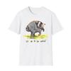Jimothy Its Ok To Be Weird Shirt, Trash Panda Shirt, Jimothy The Raccoon Shirt, Viral Raccoon T-shirt
