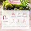 Pink Aloe Vera Soothing Moisturizing Water 240ml Moisturizing Moisturizing Toner Skin Care Products