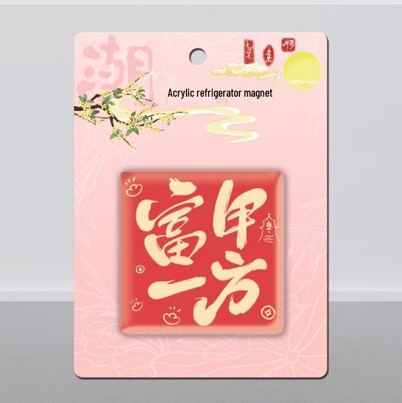 B.Y.K Creative Acrylic Fridge Magnets