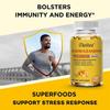 Ashwagandha Maximale Stärke 5500mg Formel Hergestellt mit 5 Natürlichen Inhaltsstoffen zur Unterstützung von Energie, Stimmung und Stressreaktion