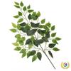 Mossy Fig Tree Leaves - Laminated Plastic Decoration Branches