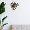 Wooden Hanging Planter Container For Staghorn Ferns With Iron Hook Indoor Wall Mount For Mosses Plant Leaf Shape Design