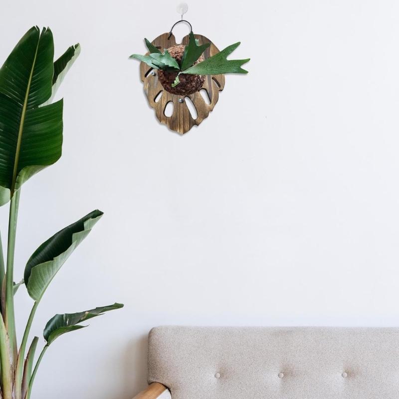 Wooden Hanging Planter Container For Staghorn Ferns With Iron Hook Indoor Wall Mount For Mosses Plant Leaf Shape Design