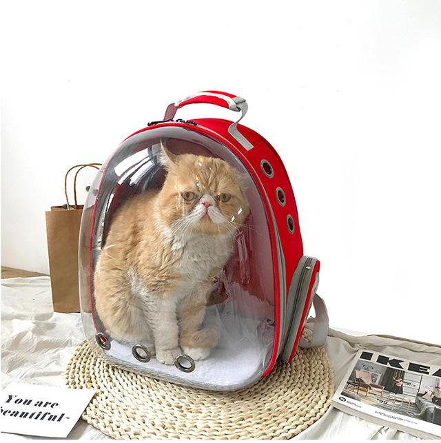 Portable Transparent Cat Backpack: Breathable, Spacious Double-Shoulder Pet Carrier