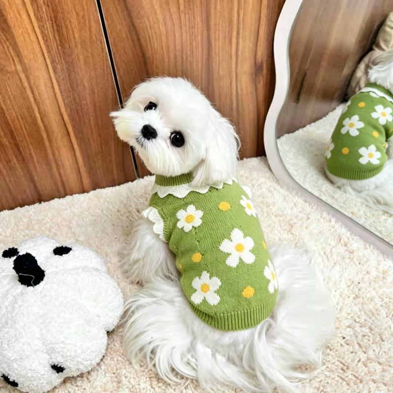 High Collar Vest for Small/Medium Dogs & Cats - Spring/Autumn Wear for Bichon, Corgi, Teddy, Butterfly, British Shorthair