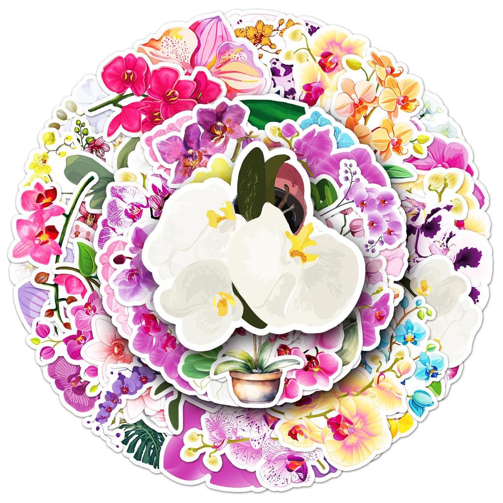 50 Orchid Stickers - Cute Q Version Plant Designs for DIY Crafts, Journals, and Computer Decoration