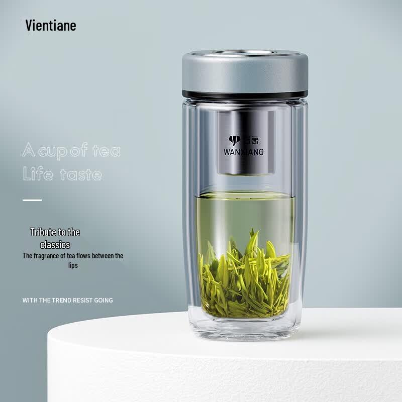 WANXIANG Portable Double-Wall Glass Tea Tumbler with Filter