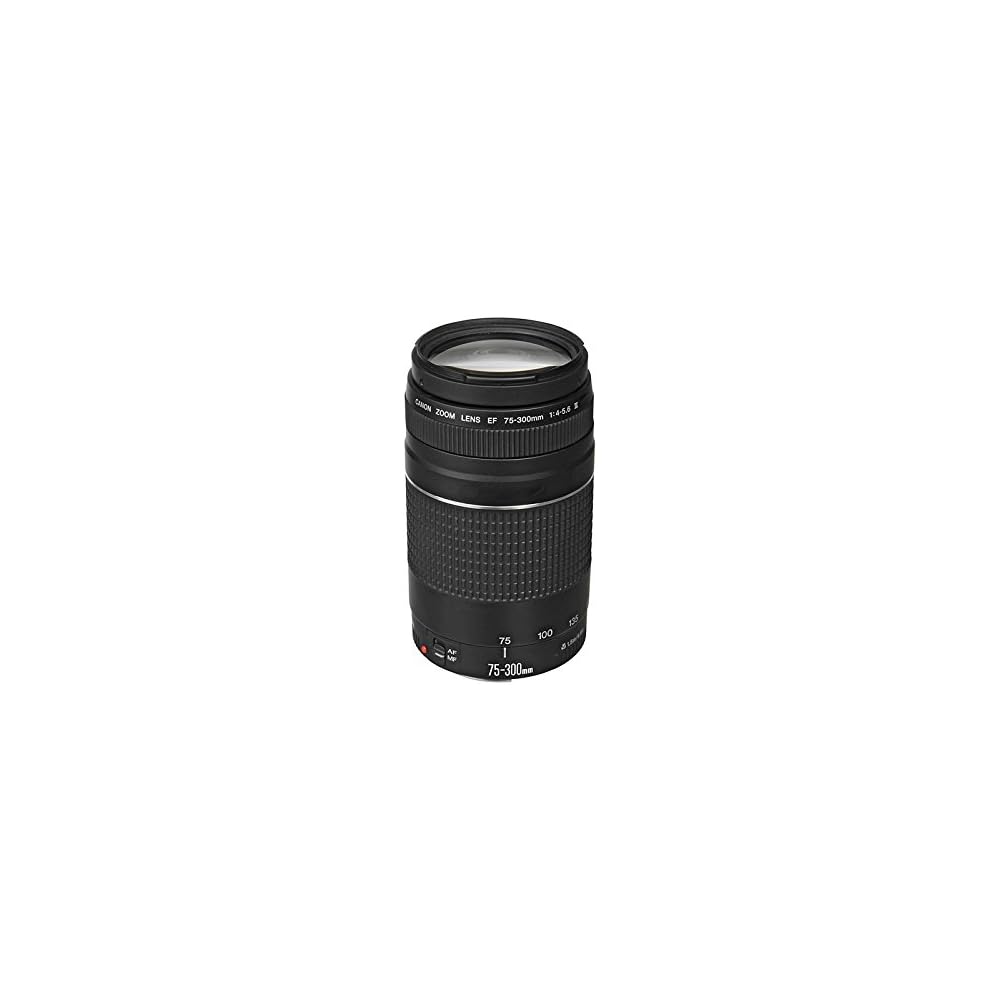Canon EF 75-300mm F/4-5.6 III Telephoto Zoom Lens