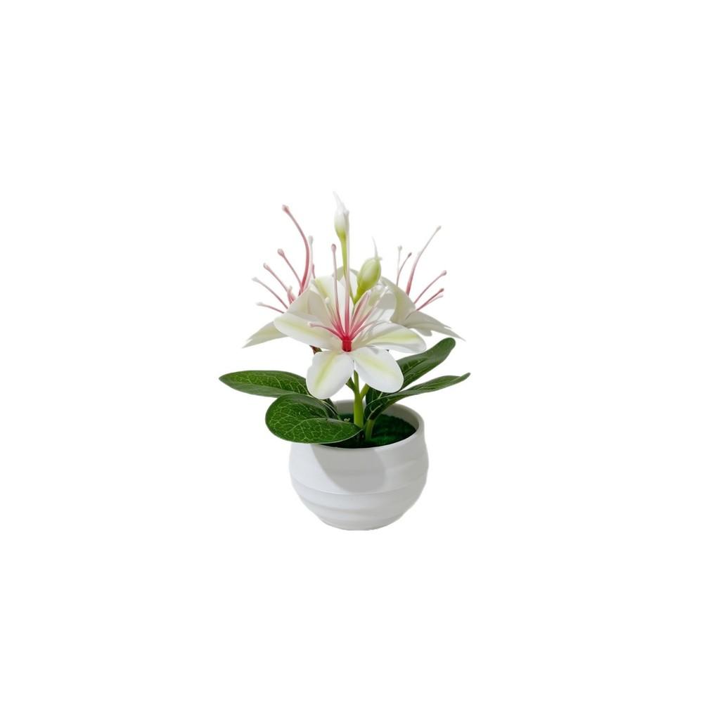 Mini Fake Jasmine Potted Plant For Home Decor And Photography Props