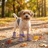 4 pcs/set Non-slip Dog Mesh Shoes Breathable Mesh Dog Sneakers Pet Net Boots  Outdoor Walking