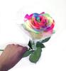 NuoNuoWell 10 Peças Flor de Seda Colorida de Haste Única Rosa Arco-Íris Artificial Toque Real Casamento Decoração de Casa Presente Buquês de Casamento