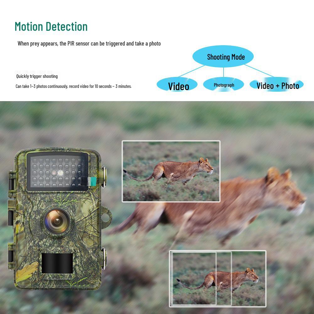 Waterproof IP66 Infrared Night Vision Wildlife Camera for Outdoor Monitoring