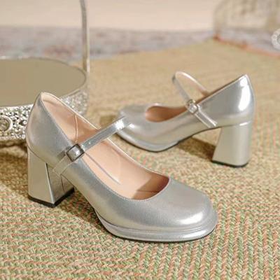 Fashion Platform Pumps Women High Heels Buckle Strap Mary Jane Shoes Woman Goth Thick Heeled Party Shoes Ladies Lolita Shoes
