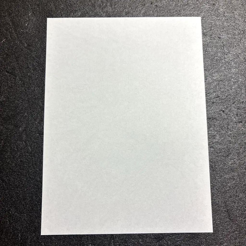 [USED] The Ancient Magus' Bride Volume 2 Kikuya Bookstore Purchase Bonus Illustration Paper Rare Mahoyome Chise