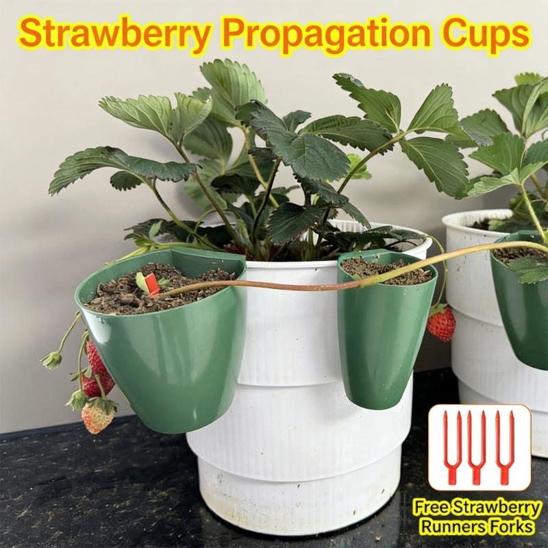 Propagation Cup Kit Featuring Food Grade Plastic and Runner Forks Ideal for Strawberry Runners and Seedling Cultivation