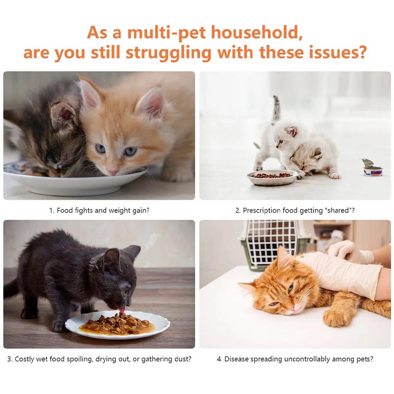 Smart Microchip Pet Timing Feeder Bowl Cats Dog Multi Pets Homes Intelligent Automatic Food Timed Feeder Supplies