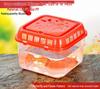 Portable Transparent Turtle & Reptile Tank – Small, Medium, Large
