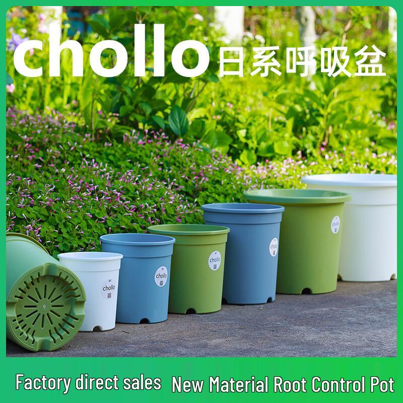 

Deep Rose Planters with Trays