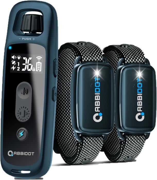 Collier De Dressage - T30 - 2 Chiens - 4 Modes Ajustables - IPX7 Étanche - Rechargeable