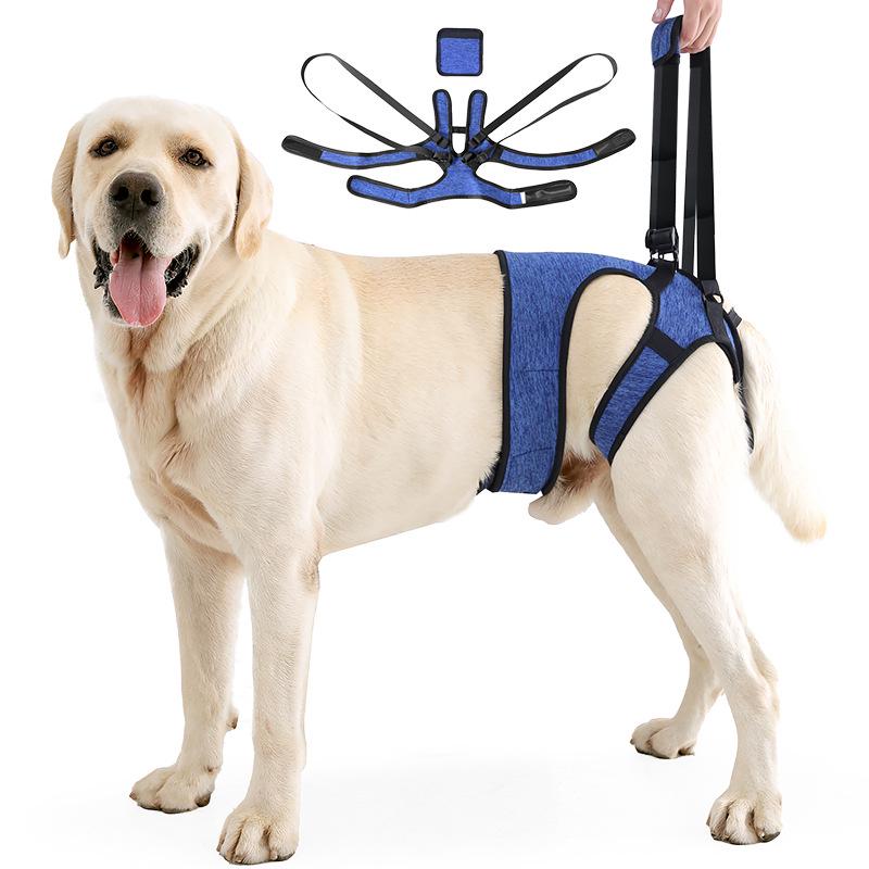 Achterbeenondersteuningsharnas voor Honden met een Handicap en Oudere Honden - Revalidatie & Reis Hulp