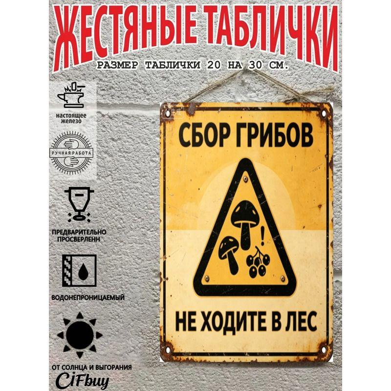 Metal Warning Sign Poster for Country House Decor, 20x30cm