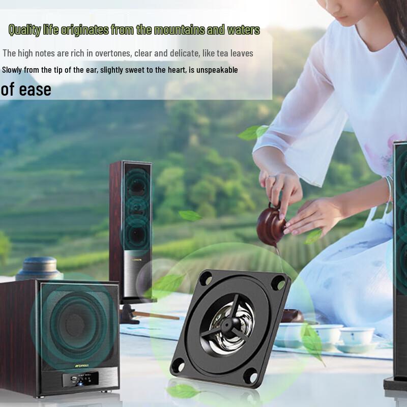 Sansui 60C Home KTV Surround Sound System with Wireless Microphones