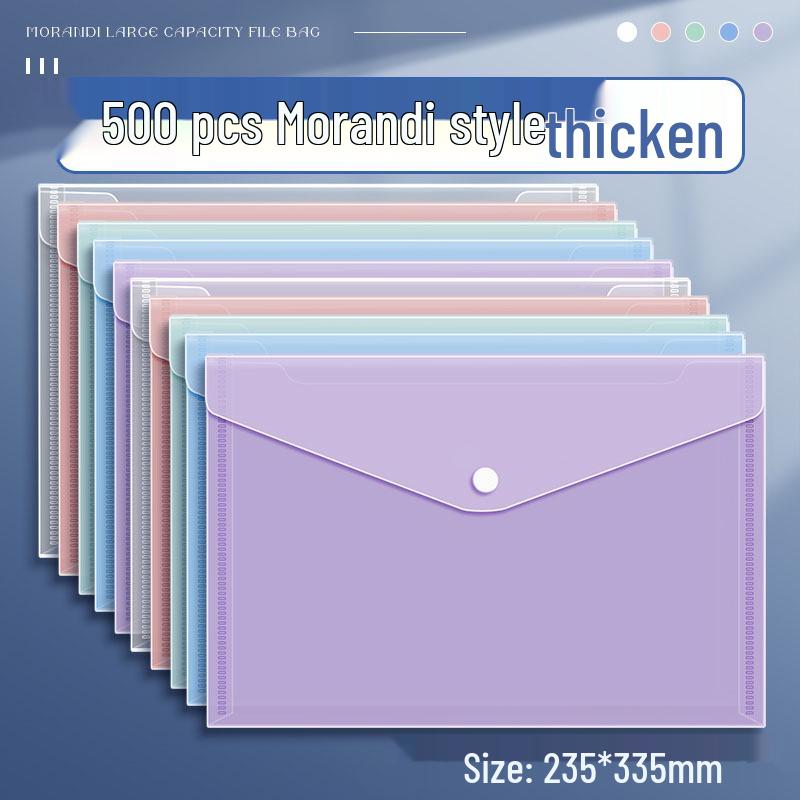 Transparent Large Capacity Snap Button File Bag for Students