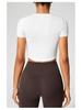 Women's Seamless Sports Top: Breathable, Short Sleeve Yoga and Running T-Shirt for Summer Fitness