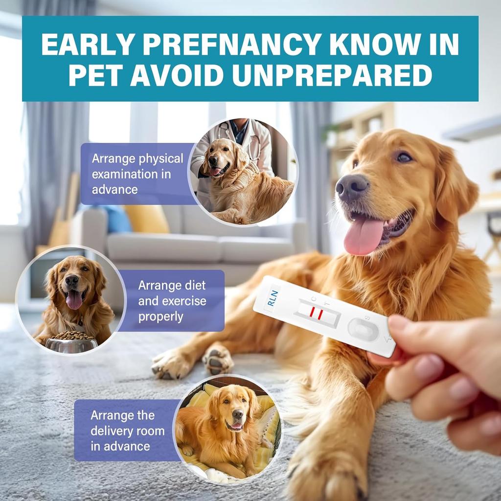 Dog Pregnancy Test Kit, Pet Pregnancy Supplies, Accurate and Fast Pregnancy Test Strips for Puppy, Disposable Pet Clinic Equipment at Home