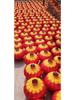 Large Outdoor Waterproof Iron Lantern for New Year and Spring Festival Celebrations