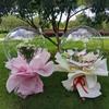 50Pcs 8/18/20/24/36 Inch Inflatable Bobo Balloon Birthday Party Wedding Transparent Balloon Decoration Holiday Party Decorations