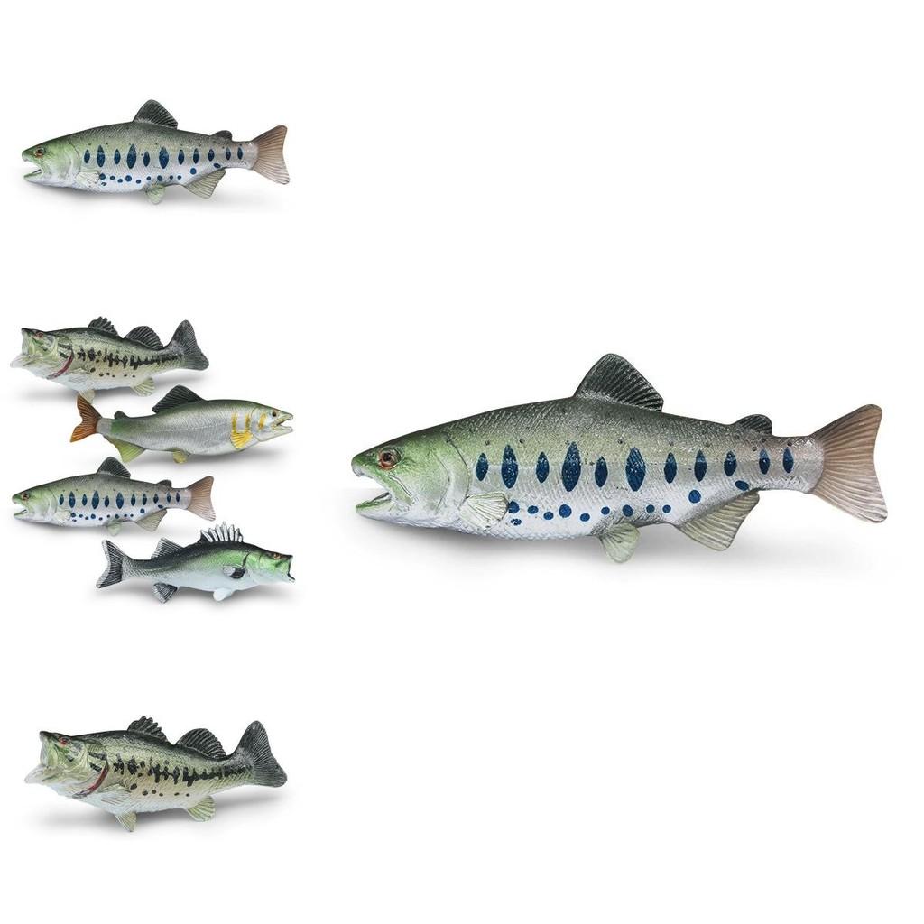 Meerestier Statisches Modell Spielzeug Mit Realistischem Fischdesign Für Sammler Und Dekoration