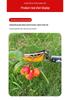 5-meter Telescopic Garden Shears for High-Altitude Pruning