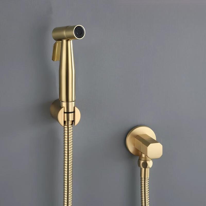 TLXT Brushed Stainless Steel Bidet Sprayer Faucet Kit