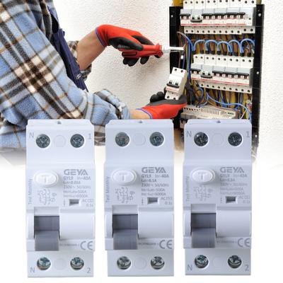 2P 40A Automatic Self-Reclosing Device Circuit Breaker Auto Recloser Differential Circuit Breaker 30mA/100mA/300mA