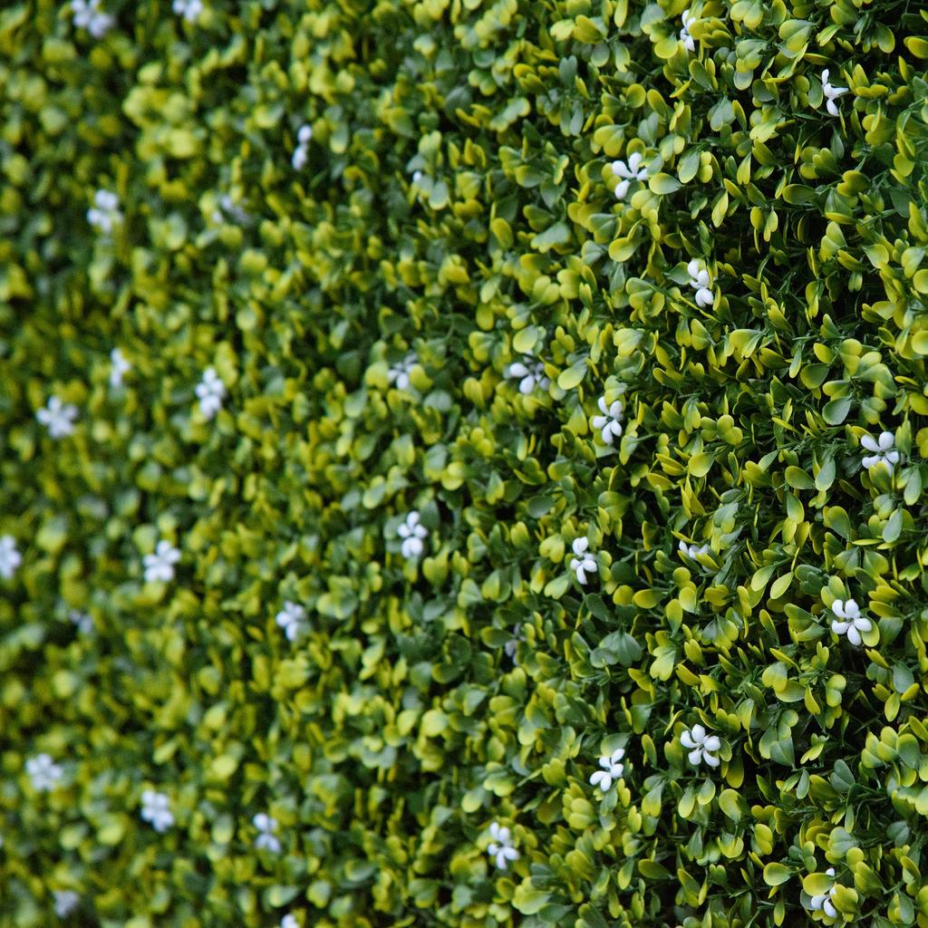 12PCS Artificial Boxwood Wall Panels 50cm X 50cm Grass Privacy Fence Screen Faux Hedge Greenery Backdrop Encrypted Milan Grass with White Flowers for