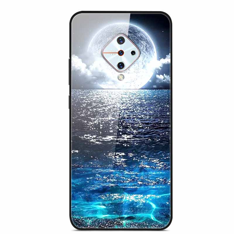 Tempered Glass Case For Vivo V17 Case Russia Glass Back Cover Soft Bumper For Vivo V17 Phone Cases V 17 Funda Y9s S1 Pro Coque