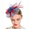 Fascinator Hat For Women Tea Party Headband Wedding Hair Clip Cocktail Party Mesh Flower Feathers Hair Clip Stylish Women Girls