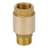 Backflow Prevention Brass Check Valve Pipeline Connection