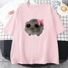 Sad Hamster Tshirt Cartoon Graphic Printed T-shirt Pink Summer Cotton Comfortable Tshirt Streetwear Short Sleeve Women/Men Tee