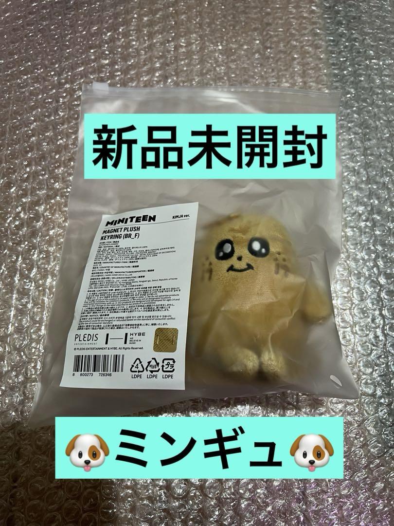 

[USED] SEVENTEEN miniteen magnetic key ring Mingyu KIMJA