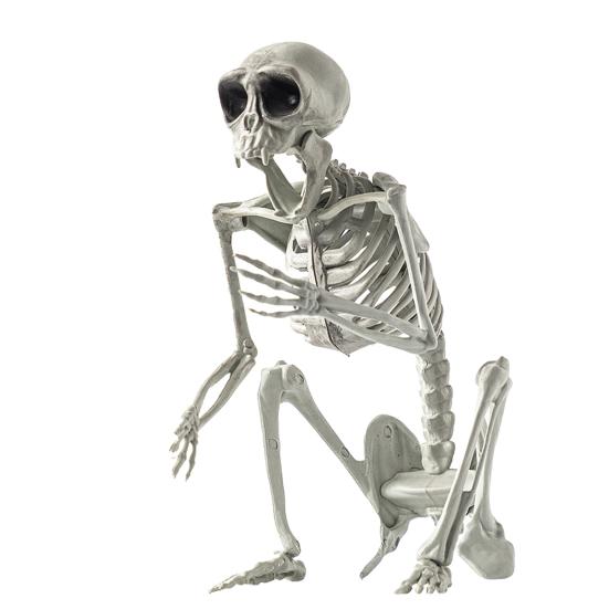 Halloween Skeleton Animal Decoration Creepy Cat/Dog/Bird/Rat/Goat Head Plastic Bones for Courtyard Graveyard Halloween Decor