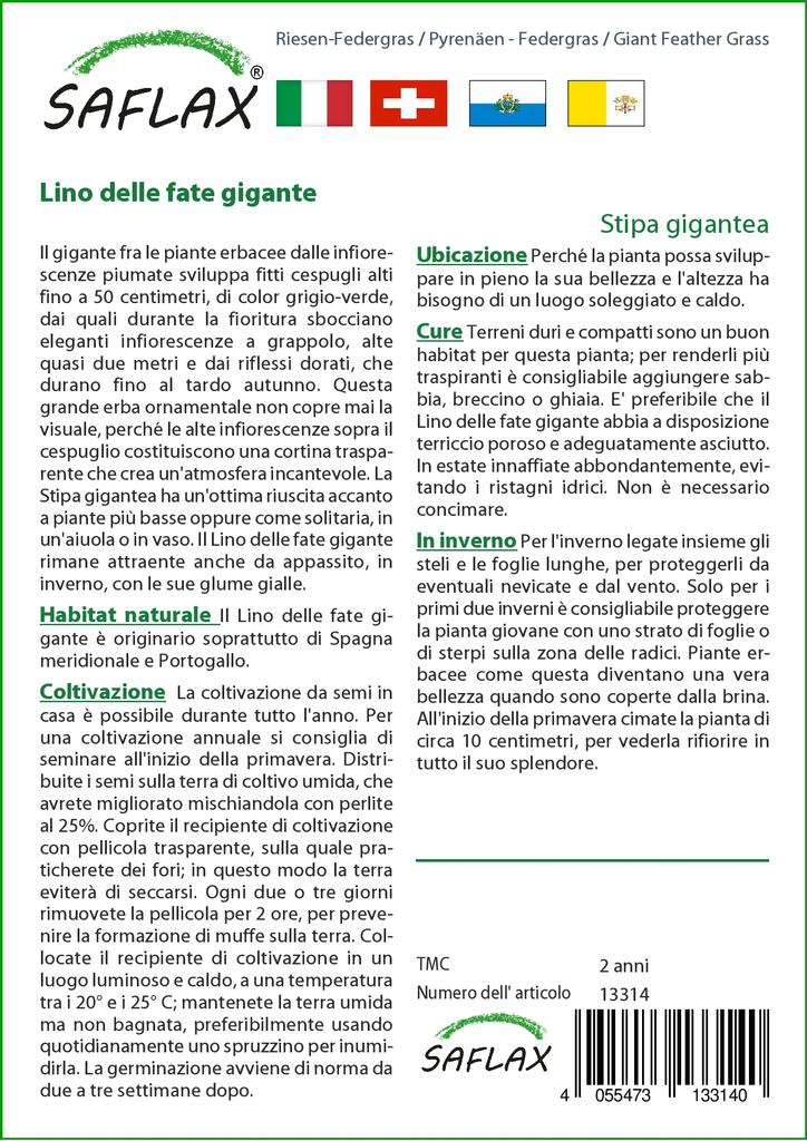 SAFLAX Zahrada v pytli - Obří péřová tráva - 10 semen - Se substrátem v padnoucím sáčku - Stipa gigantea