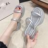 Fairy Wind Slippers Female 2025 Summer New Muffin Thick Bottom Word with Fashion Outside Wear Beach Cool Slippers