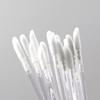 Glamsky Disposable Lip Brushes
