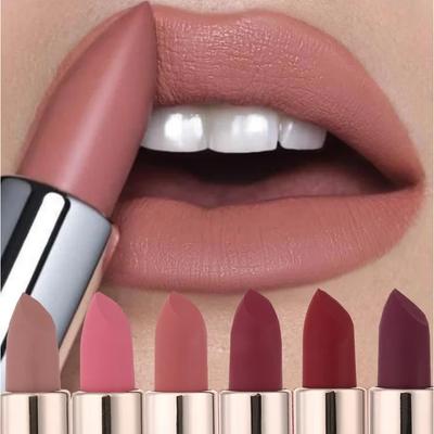 Rossetto idratante opaco, duraturo, anti-sbiadimento, anti-aderente, rossetto impermeabile