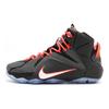 Nike LeBron 12 Court Vision 684593-016