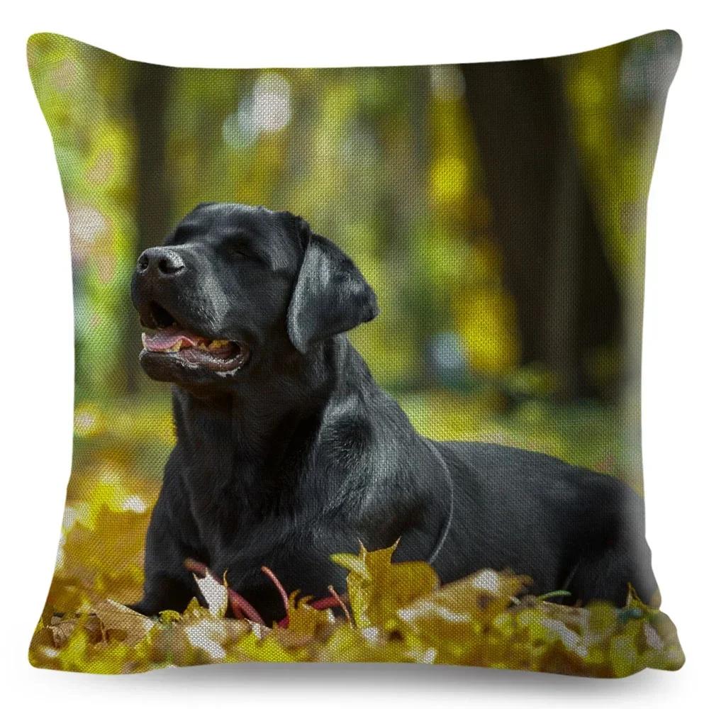 Cute Black Labrador Dog Double-Sided Printed Pillow Cover Short Plush Suitable Living Rooms Bedrooms Sofas Throw Cushion Cover